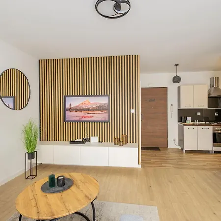 Vip Apartament Grabskiego Rzeszow Exterior photo